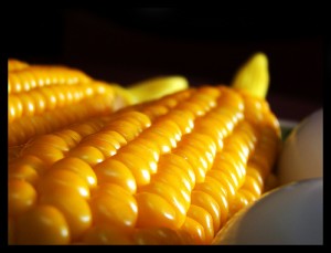 corn