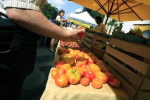 A customer examines heirloom tomatoes at a farmer's market near the White House.