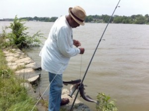Bobby Jones spends most of his days reeling in river catfish from the Anacostia River.